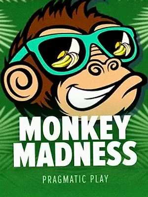 Monkey Madness at Shambala