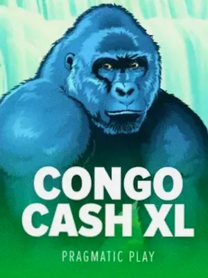 Congo Cash XL at Shambala